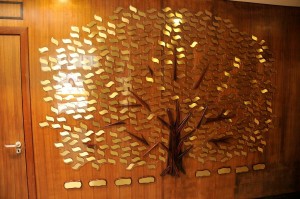 Tree of Life