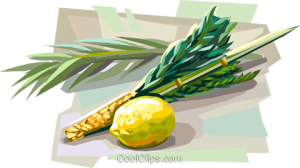 Lulav and etrog